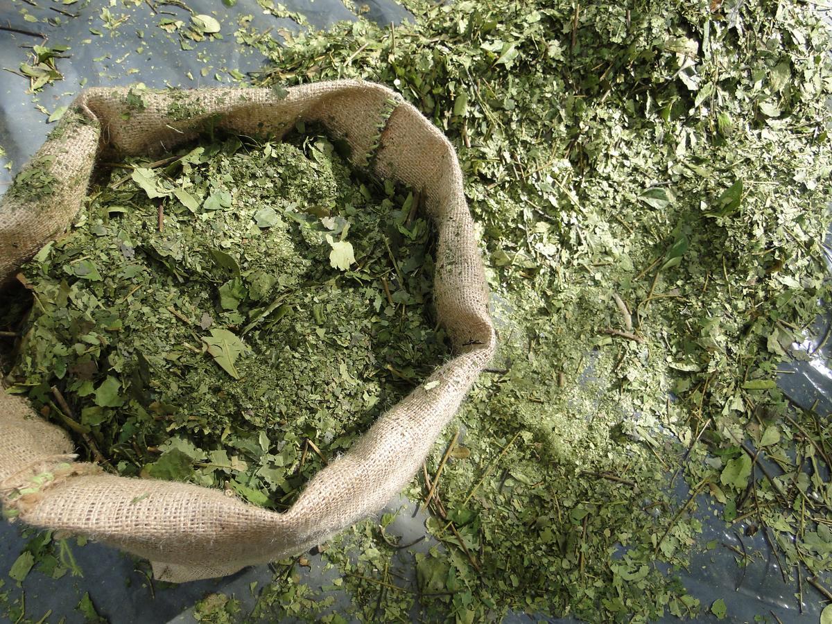 אל סוברביו Yasi Yatere Reserva Agroecologica מראה חיצוני תמונה