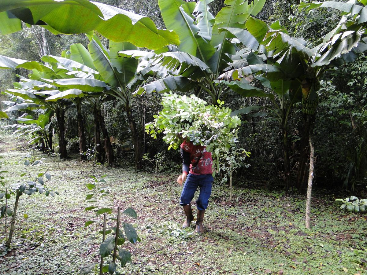 אל סוברביו Yasi Yatere Reserva Agroecologica מראה חיצוני תמונה