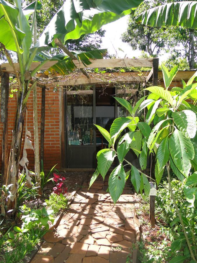 אל סוברביו Yasi Yatere Reserva Agroecologica מראה חיצוני תמונה